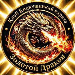 Канал 🐉 Золотой Дракон🐉Клуб Киокушинкай каратэ🥋 в мессенджере MAX — 98 подписчиков