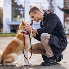 Канал Собаки Все Породы Чаты в мессенджере MAX — 1 392 подписчика