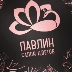 Канал Цветочный салон " Павлин" в мессенджере MAX — 132 подписчика