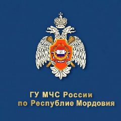 Канал МЧС Мордовии в мессенджере MAX — 5 772 подписчика