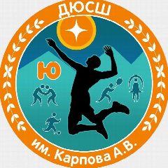 Канал МБО ДО "ДЮСШ им. Карпова А.В" в мессенджере MAX — 24 подписчика