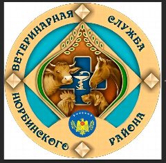 Канал ГБУ РС(Я) «Управление ветеринарии с ВИЛ Нюрбинского района» в мессенджере MAX — 34 подписчика