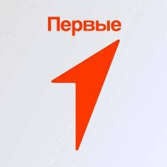 Канал Первые| МБДОУ Д/с 102 «Подснежник» г. Якутск в мессенджере MAX — 209 подписчиков