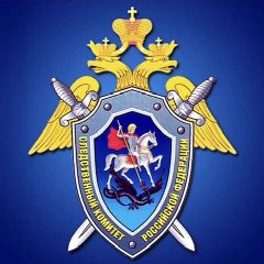 Канал Следком Якутии в мессенджере MAX — 547 подписчиков