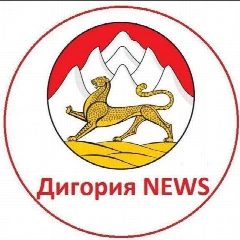 Канал Digoria NEWS в мессенджере MAX — 1 003 подписчика
