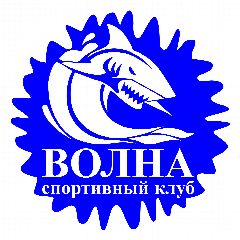 Канал ВОЛНА СОЧИ Спортивный клуб в мессенджере MAX — 178 подписчиков