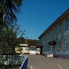 Канал МБОУ "Лебединская ООШ" в мессенджере MAX — 79 подписчиков