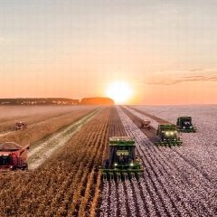 Канал Управление сельского хозяйства и продовольствия РТ в Бавлинском районе в мессенджере MAX — 17 подписчиков