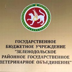 Канал ГБУ "Зеленодольское РГВО" в мессенджере MAX — 116 подписчиков