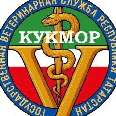 Канал ГБУ "Кукморское РГВО" в мессенджере MAX — 67 подписчиков
