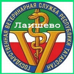 Канал Лаишево - вет в мессенджере MAX — 134 подписчика