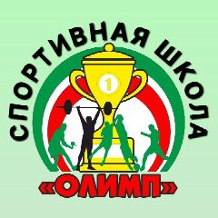 Канал Спортивная школа "Олимп" Мамадышского МР РТ в мессенджере MAX — 111 подписчиков