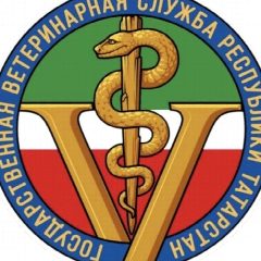 Канал ГБУ "Муслюмовское РГВО" в мессенджере MAX — 81 подписчик