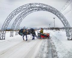 Канал Конно-спортивный комплекс "Аргамак" в мессенджере MAX — 39 подписчиков