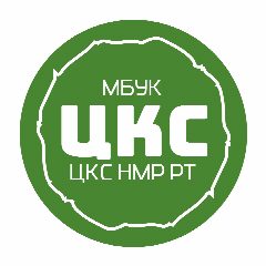 Канал МБУК "ЦКС НМР РТ" в мессенджере MAX — 44 подписчика
