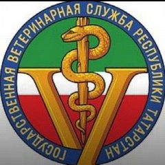 Канал ГБУ "Нурлатское РГВО" в мессенджере MAX — 66 подписчиков