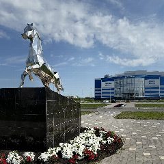 Канал МБУ ДО «СШ им.Г.С.Хусаинова» НМР РТ в мессенджере MAX — 120 подписчиков