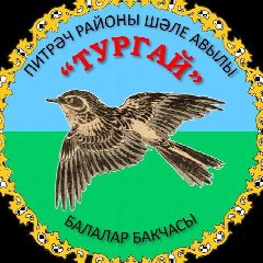Канал МБДОУ Шалинский детский сад "Тургай" в мессенджере MAX — 148 подписчиков
