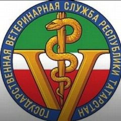 Канал ГБУ "Спасское РГВО" в мессенджере MAX — 84 подписчика