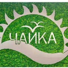 Канал Загородный оздоровительный лагерь "Чайка" Тетюши в мессенджере MAX — 282 подписчика