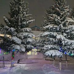 Канал Управление СХиП Минсельхозпрода РТ вЧеремшанском районе РТ в мессенджере MAX — 13 подписчиков