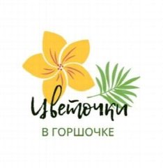 Канал Цветочки в горшочке в мессенджере MAX — 86 подписчиков