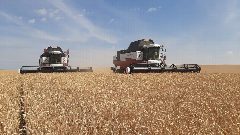 Канал Управление сельского хозяйства и продовольствия в Заинском районе РТ в мессенджере MAX — 37 подписчиков