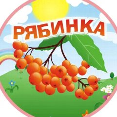 Канал МБДОУ "Детский сад "Рябинка" общеразвивающего вида" ЗМР РТ в мессенджере MAX — 38 подписчиков