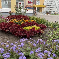 Канал 68-МАХ ГБОУ "Набережночелнинская школа №68" в мессенджере MAX — 184 подписчика