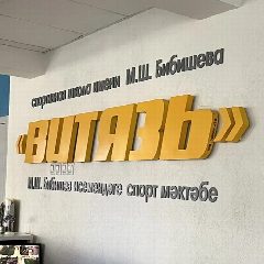 Канал Витязь рабочий чат в мессенджере MAX — 10 подписчиков