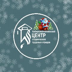 Канал Набережночелнинский центр студенческих трудовых отрядов в мессенджере MAX — 21 подписчик