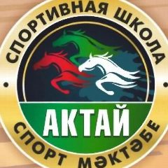 Канал МБУ ДО "СШ "Актай" НМР РТ в мессенджере MAX — 13 подписчиков