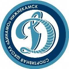 Канал МБУ ДО "СШ "ДИНАМО" НМР РТ в мессенджере MAX — 37 подписчиков