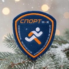 Канал Спортивный Нижнекамск в мессенджере MAX — 107 подписчиков