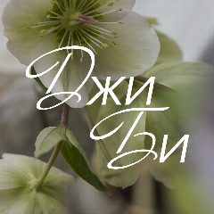 Канал ДжиБи | Цветы и Шары Нижнекамск | Доставка цветов и шаров в Нижнекамске в мессенджере MAX — 310 подписчиков