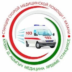Канал Служба скорой медицинской помощи г. Казани в мессенджере MAX — 2 843 подписчика