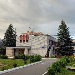 Канал МАДОУ "Детский сад №247" в мессенджере MAX — 110 подписчиков