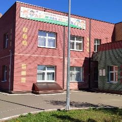 Канал МБДОУ "Детский сад № 144 "Дружная семейка" в мессенджере MAX — 31 подписчик