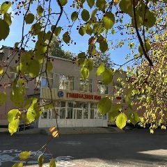 Канал Гимназия №8-Центр образования, Казань в мессенджере MAX — 990 подписчиков