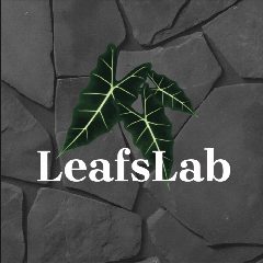 Канал LeafsLab в мессенджере MAX — 219 подписчиков