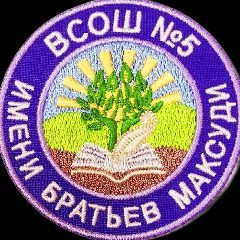 Канал МБОУ "Высокогорская средняя общеобразовательная школа №5 имени братьев Максуди Высокогорского муниципального района Республики Татарстан" в мессенджере MAX — 1 118 подписчиков