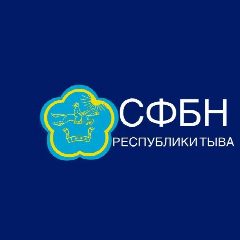 Канал Служба по финансово-бюджетному надзору Республики Тыва в мессенджере MAX — 38 подписчиков