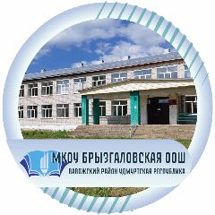 Канал Брызгаловская школа в мессенджере MAX — 61 подписчик