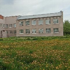 Канал МБОУ "Лолошур-Возжинская средняя общеобразовательная школа" в мессенджере MAX — 32 подписчика