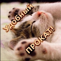Канал Удобный прокат Тюмень в мессенджере MAX — 13 подписчиков