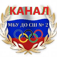 Канал МБУ ДО Спортивная школа № 2 в мессенджере MAX — 17 подписчиков