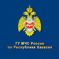 Канал ГУ МЧС России по Республике Хакасия в мессенджере MAX — 731 подписчик