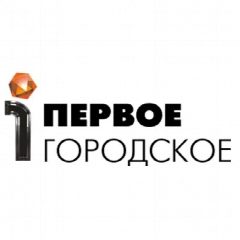Канал Первое городское Саяногорск в мессенджере MAX — 1 043 подписчика