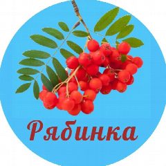 Канал МБДОУ "Рябинка" в мессенджере MAX — 36 подписчиков