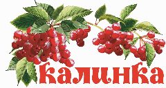 Канал МАДОУ  "Калинка" в мессенджере MAX — 128 подписчиков